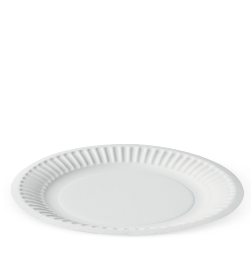 9 INCH PLATE